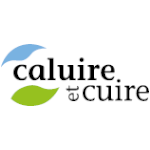 logo Ville de Caluire et Cuire